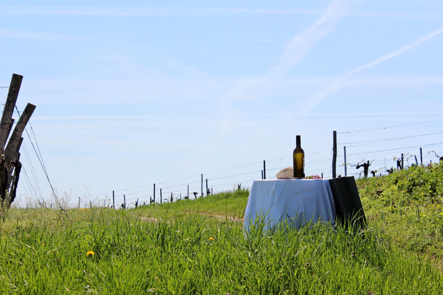 Chefs and wine pairing at secluded vineyard